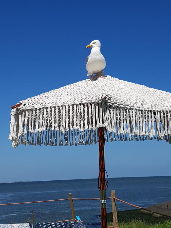 Romantisch Huisje Nabij Het Strand Met Uitzicht Op De Tulpenvelden Julianadorp Exterior foto