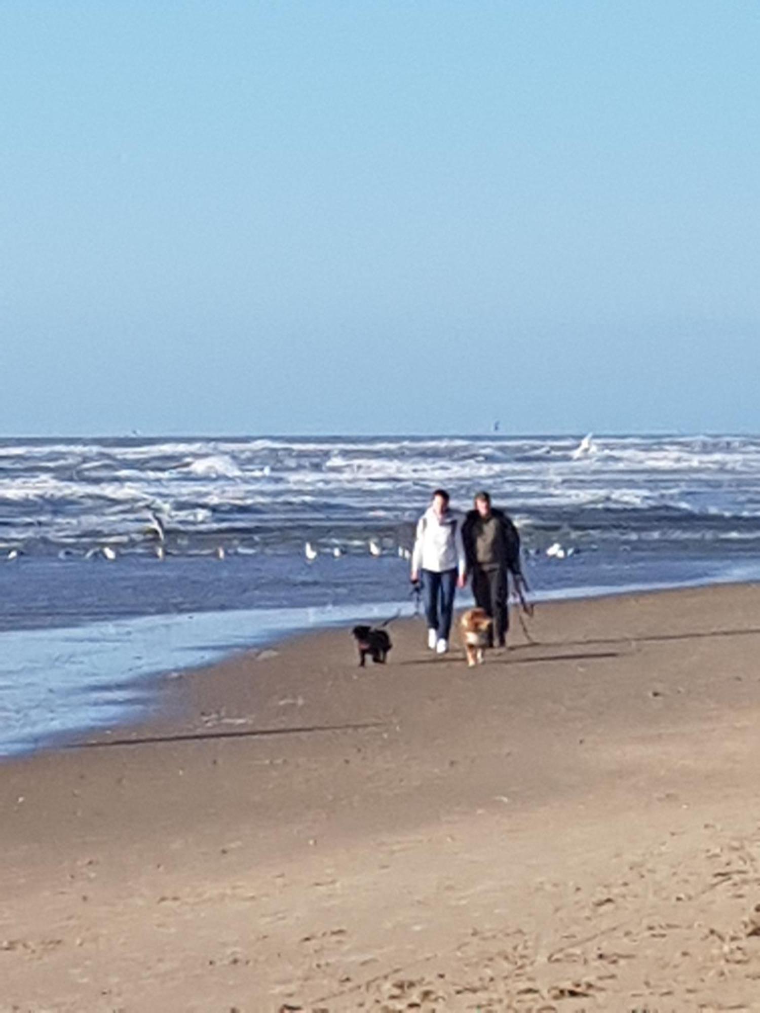 Romantisch Huisje Nabij Het Strand Met Uitzicht Op De Tulpenvelden Julianadorp Exterior foto