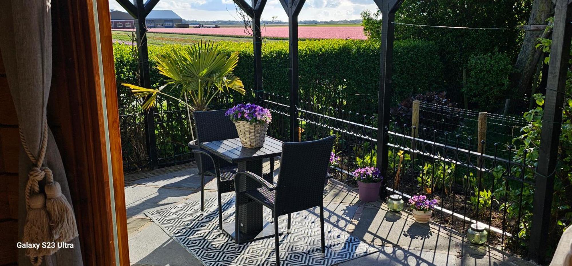 Romantisch Huisje Nabij Het Strand Met Uitzicht Op De Tulpenvelden Julianadorp Exterior foto