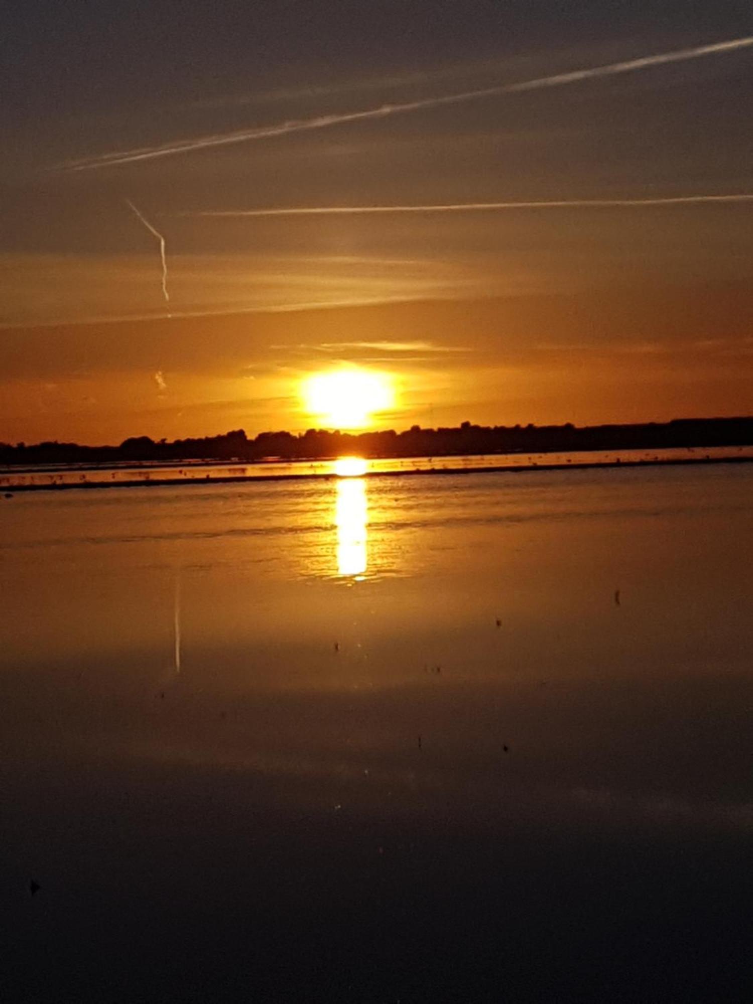Romantisch Huisje Nabij Het Strand Met Uitzicht Op De Tulpenvelden Julianadorp Exterior foto