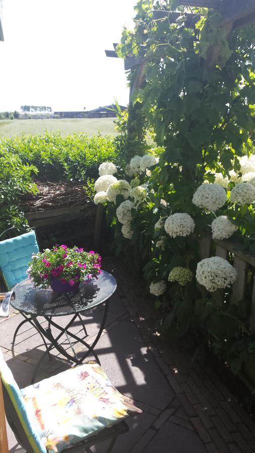 Romantisch Huisje Nabij Het Strand Met Uitzicht Op De Tulpenvelden Julianadorp Exterior foto