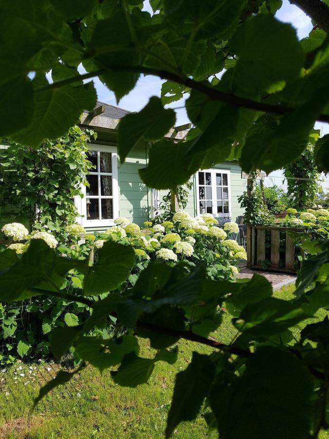 Romantisch Huisje Nabij Het Strand Met Uitzicht Op De Tulpenvelden Julianadorp Exterior foto
